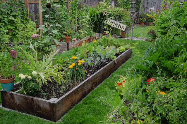 14 βότανα που μπορείτε να καλλιεργήσετε σε κήπο χωρίς ήλιο!