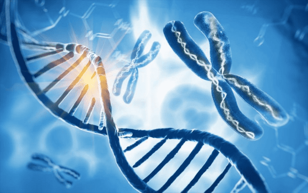 Σύμφωνα με νέα έρευνα: Η αλλαγή του DNA από τα εμβόλια COVID μπορεί να επεκταθεί στα αναπαραγωγικά κύτταρα και να επηρεάσει τα βρέφη!