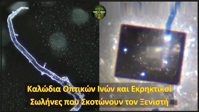 Καλώδια Οπτικών Ινών και Εκρηκτικοί Νανοσωλήνες που Σκοτώνουν τον Ξενιστή (βίντεο)