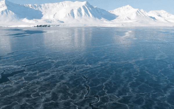 Επιστήμονες “αναζωογόνησαν” επιτυχώς ιούς «Zombie»… είχαν παγιδευτεί στον πάγο της Σιβηρίας για 50.000 χρόνια