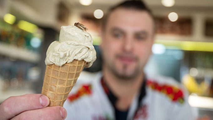 Στην Γερμανία κυκλοφόρησαν τα πρώτα παγωτά… με γέυση εντόμων.