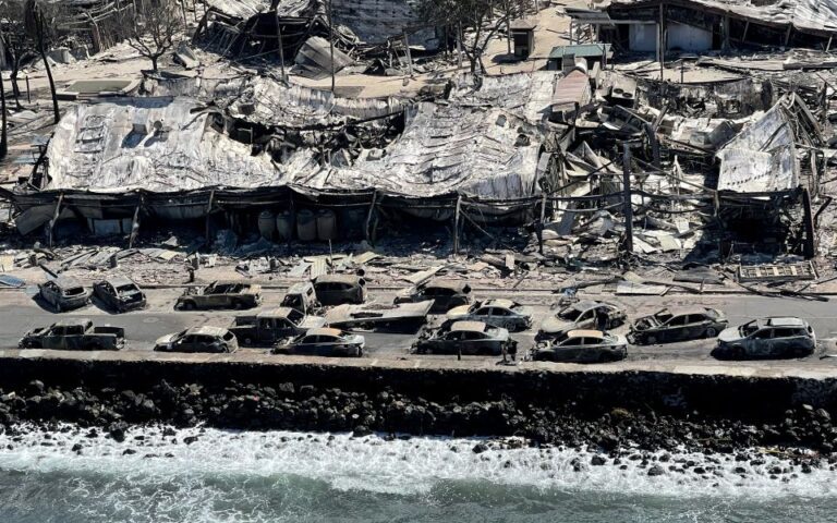 Γιατί πίσω από τις φωτιές στη Χαβάη βρίσκεται η γνωστή συμμορία του WEF.