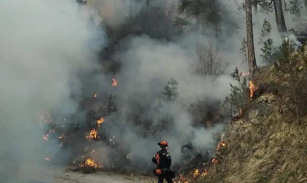 Καταλάβατε τι θα γίνει το καλοκαίρι; Για τρίτη μέρα καίγονται τα Πιέρια Όρη!