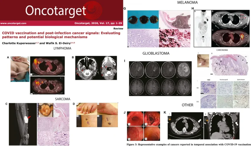 Μελέτη εντοπίζει κρούσματα καρκίνου από το «εμβόλιο» COVID-19 σε 27 χώρες και το περιοδικό που την δημοσίευσε δέχτηκε κυβερνοεπιθέσεις